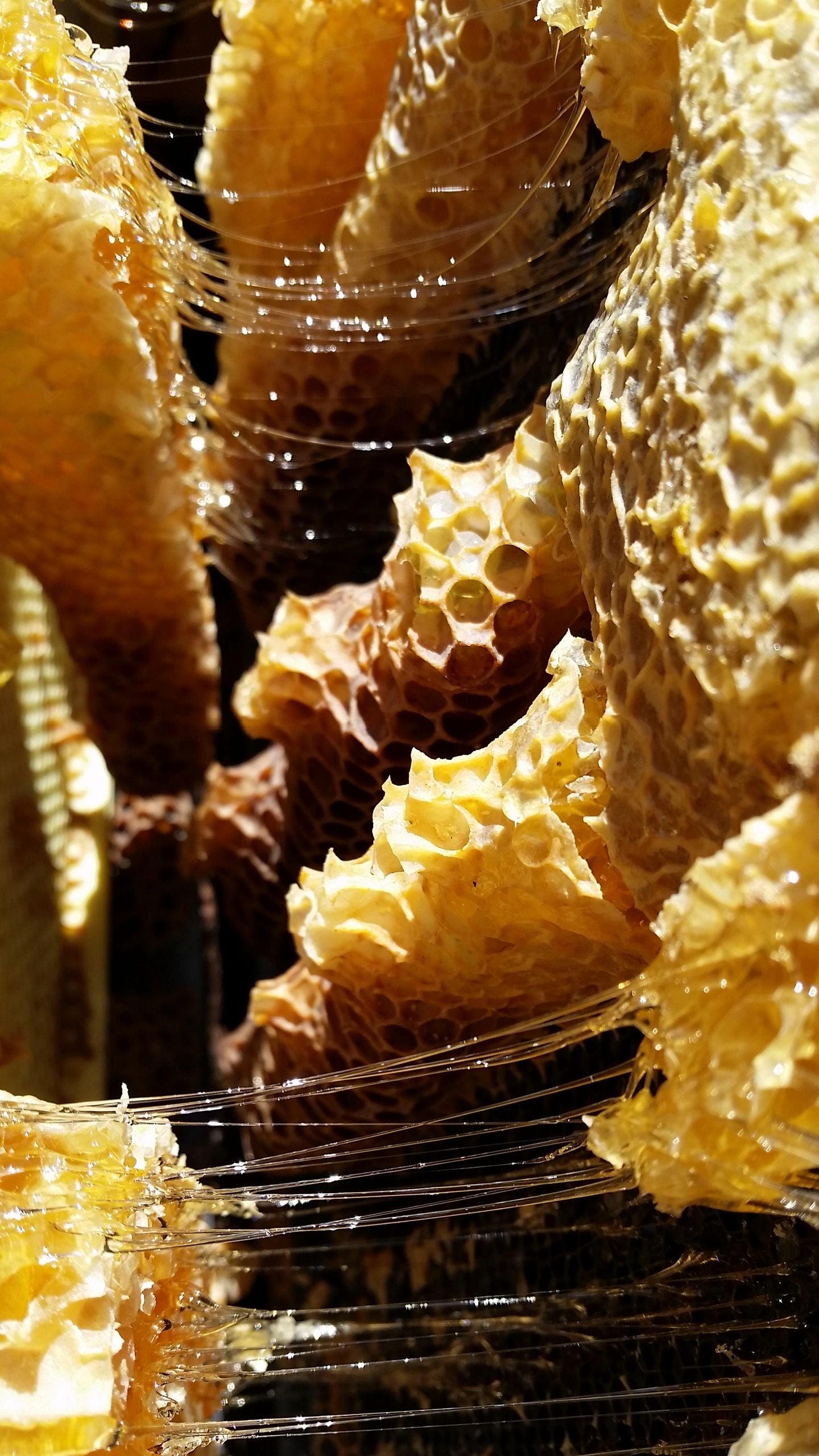 About Honeycomb